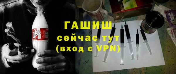 индика Балахна
