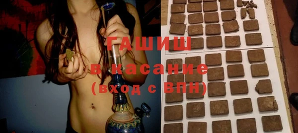 индика Балахна