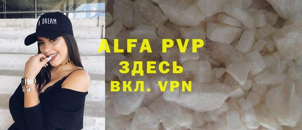 индика Балахна