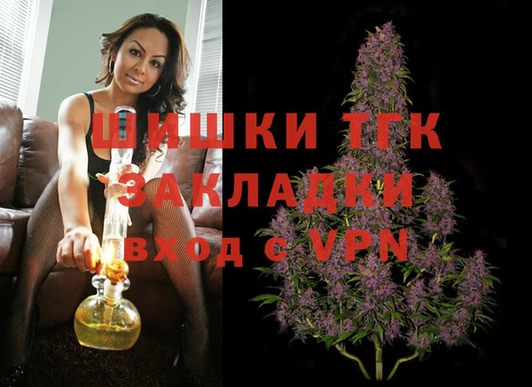 индика Балахна