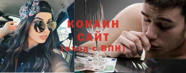 индика Балахна